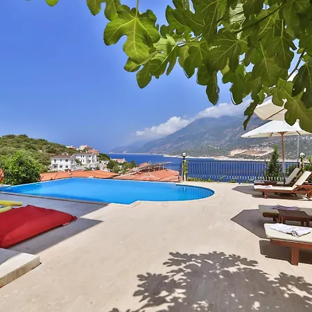 Noa Villa *